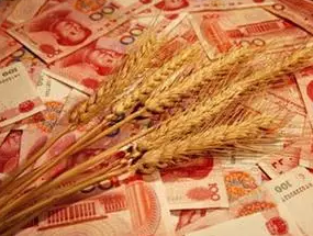 深度 | 中国粮食为什么突然丧失了竞争力？
