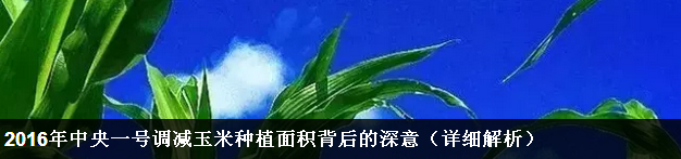 2016年中央一号调减玉米种植面积背后的深意（详细解析）