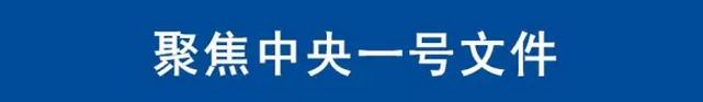 中央“突发”一号文件，看农化行业如何受益？