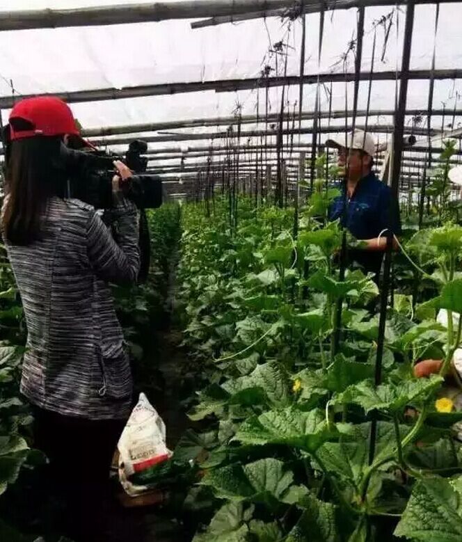 好肥万里行之青岛中天助力成武农业科技